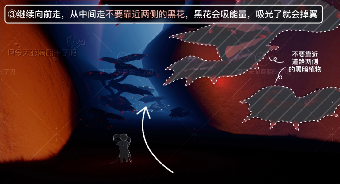 光遇九色鹿任務(wù)一怎么不掉翼 九色鹿任務(wù)一流程攻略