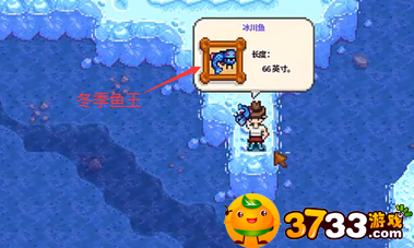 星露谷物語冬季魚王在哪釣