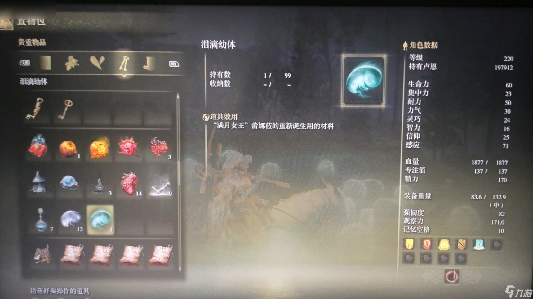 艾爾登法環(huán)黃金樹之影物品收集攻略
