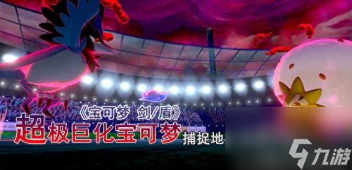 紫光精靈去哪里買(紫光刷車精靈)