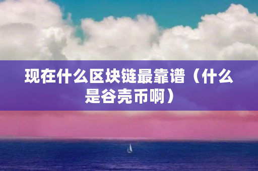 現在什么區塊鏈最靠譜（什么是谷殼幣啊）