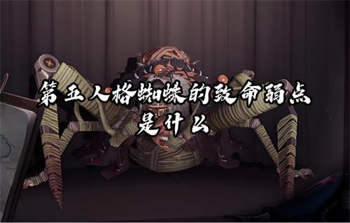 第五人格蜘蛛的致命弱點是什么