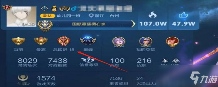 王者總印記什么意思