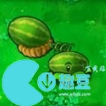 植物大戰僵尸植物圖鑒大全-植物大戰僵尸全部植物圖鑒一覽
