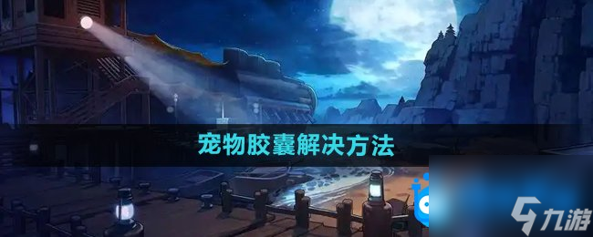 <b>DNF</b>寵物膠囊用不了解決方法