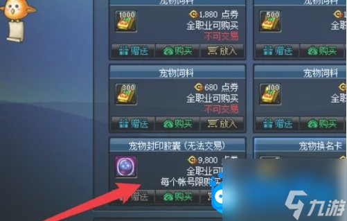 <b>DNF</b>寵物膠囊用不了解決方法