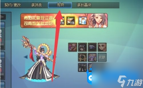 <b>DNF</b>寵物膠囊用不了解決方法