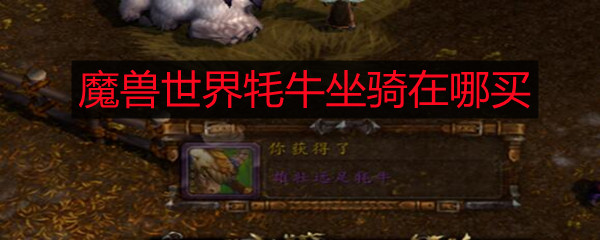 魔獸世界牦牛坐騎在哪買