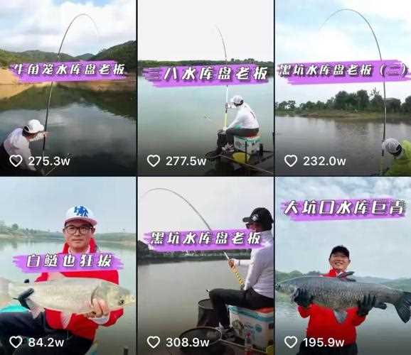 垂釣之王心得分享圖文詳解_垂釣之王藍(lán)馬林攻略