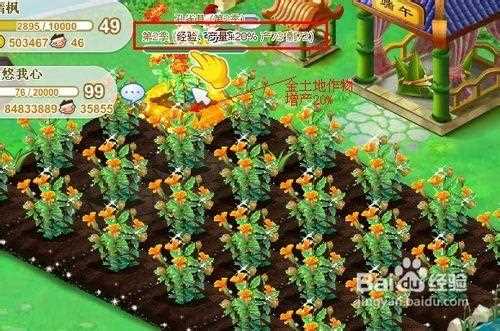 QQ農場土地種植最優化金幣種植方案推薦_qq農場有機種子攻略