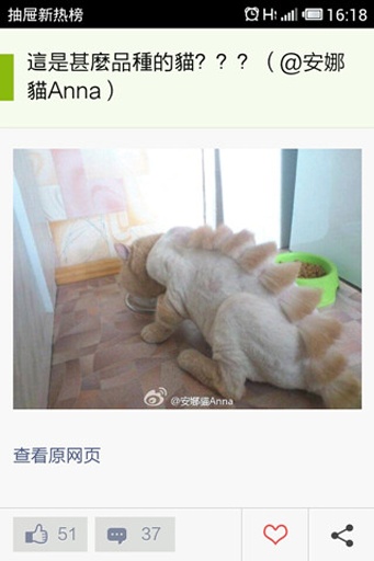 抽屜4
