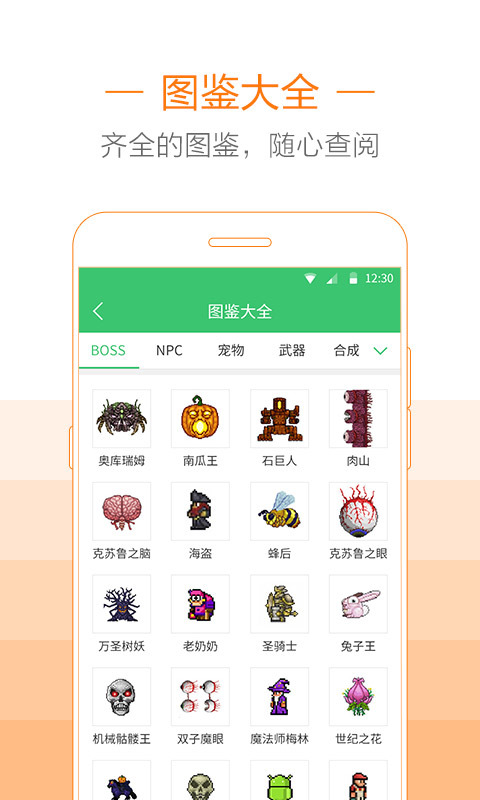 泰拉瑞亞助手2