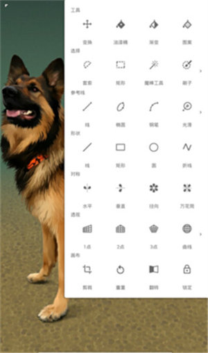Painter軟件最新版1
