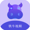 鐵牛影視