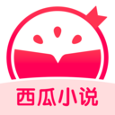 西瓜小說最新版
