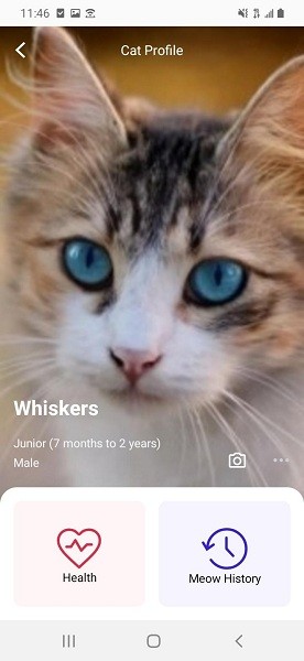meowtalk1.4.13