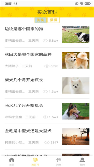富狗1
