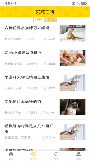 富狗3