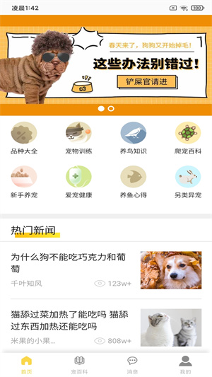 富狗2