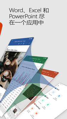 Microsoft Office專業版2