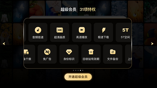 百度網(wǎng)盤tv版4