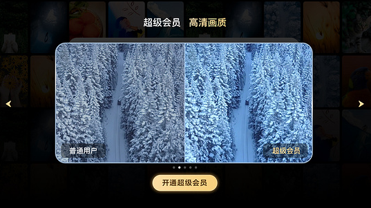 百度網(wǎng)盤tv版5