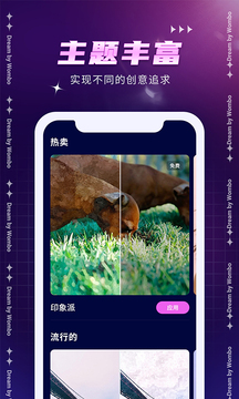 Dreambywombo最新版4