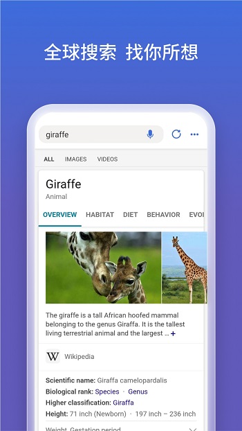 microsoft bing3