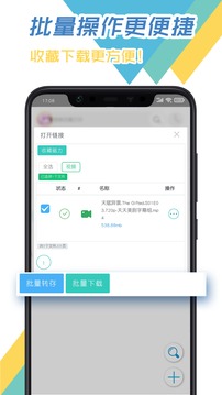 飛鳥下載器最新版4