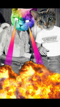 catwang4