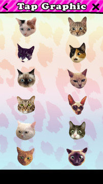 catwang3
