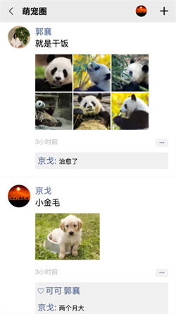 隊信3