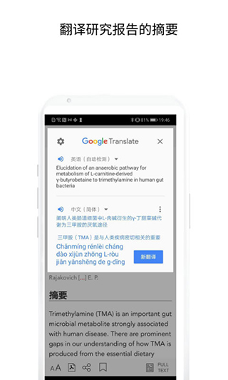 researchgate4