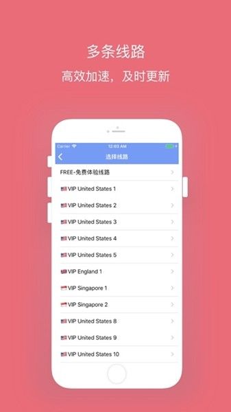 西柚2