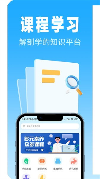 人體解剖3d3