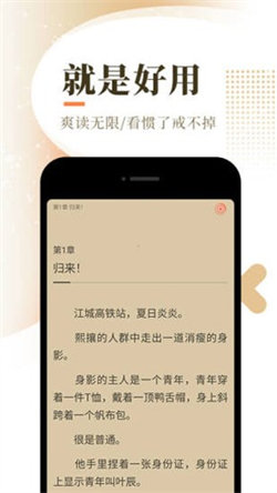 落花網3