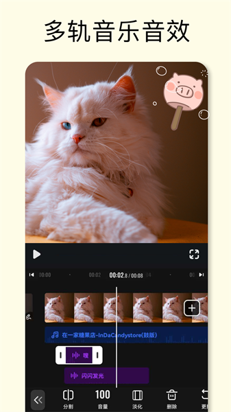VivaVideo1
