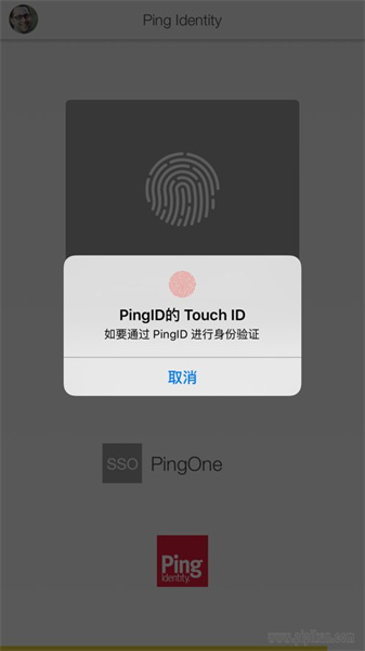 pingid4