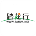 踏花行