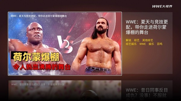 wwe大視界1