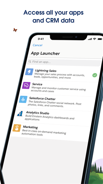 Salesforce2