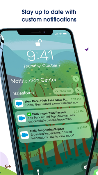 Salesforce4