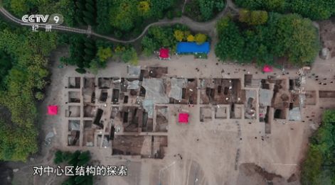 鯊魚電視TV版3