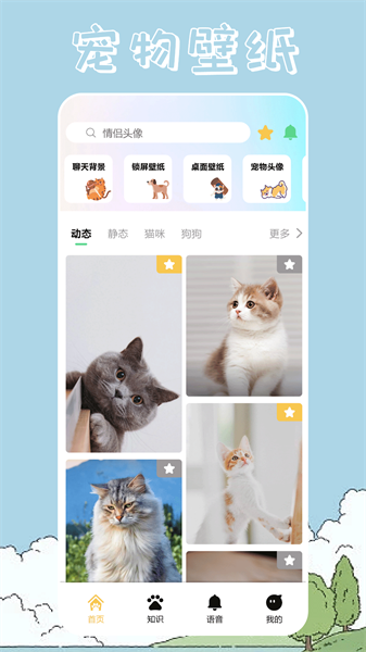 桌面寵物壁紙4