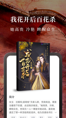 淘小說4
