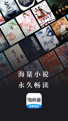 淘小說1
