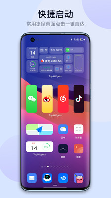 top widgets1