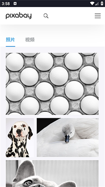 Pixabay2