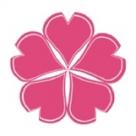 櫻花動漫 官網正版入口進入
