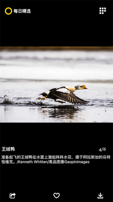 國(guó)家地理每日精選3